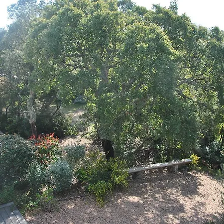 Cala Sultana Apartment *